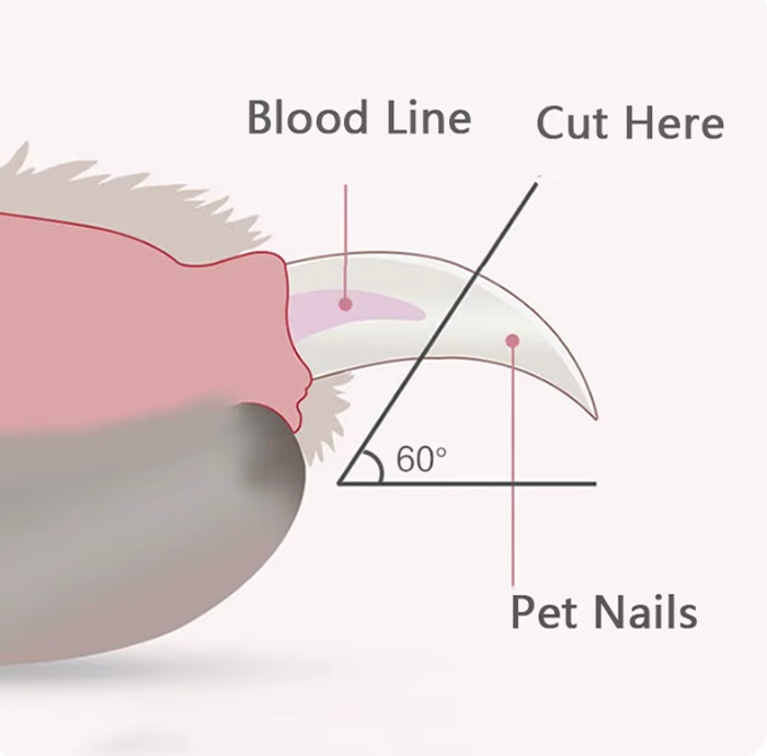 PawDaisy Professionelle Haustier-Nagelschere