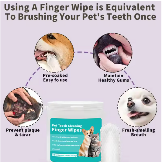 PawDaisy Pet Teeth Cleaning Wipes
