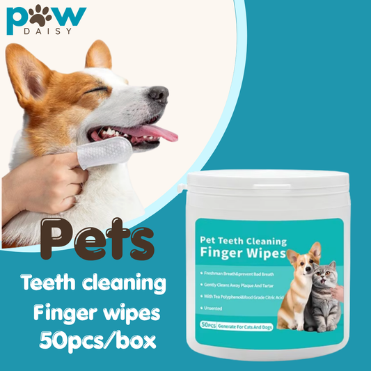 PawDaisy Pet Teeth Cleaning Wipes (50 ct)